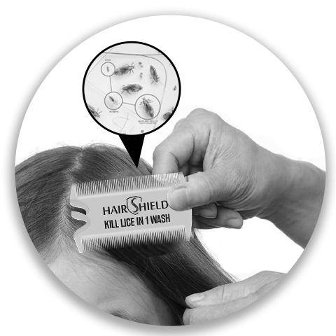 Hairshield-Lice-Specialist-Hair-Comb-Indications