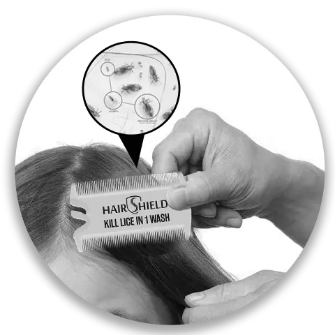 Hairshield-Lice-Specialist-Hair-Comb-Indications